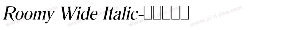 Roomy Wide Italic字体转换